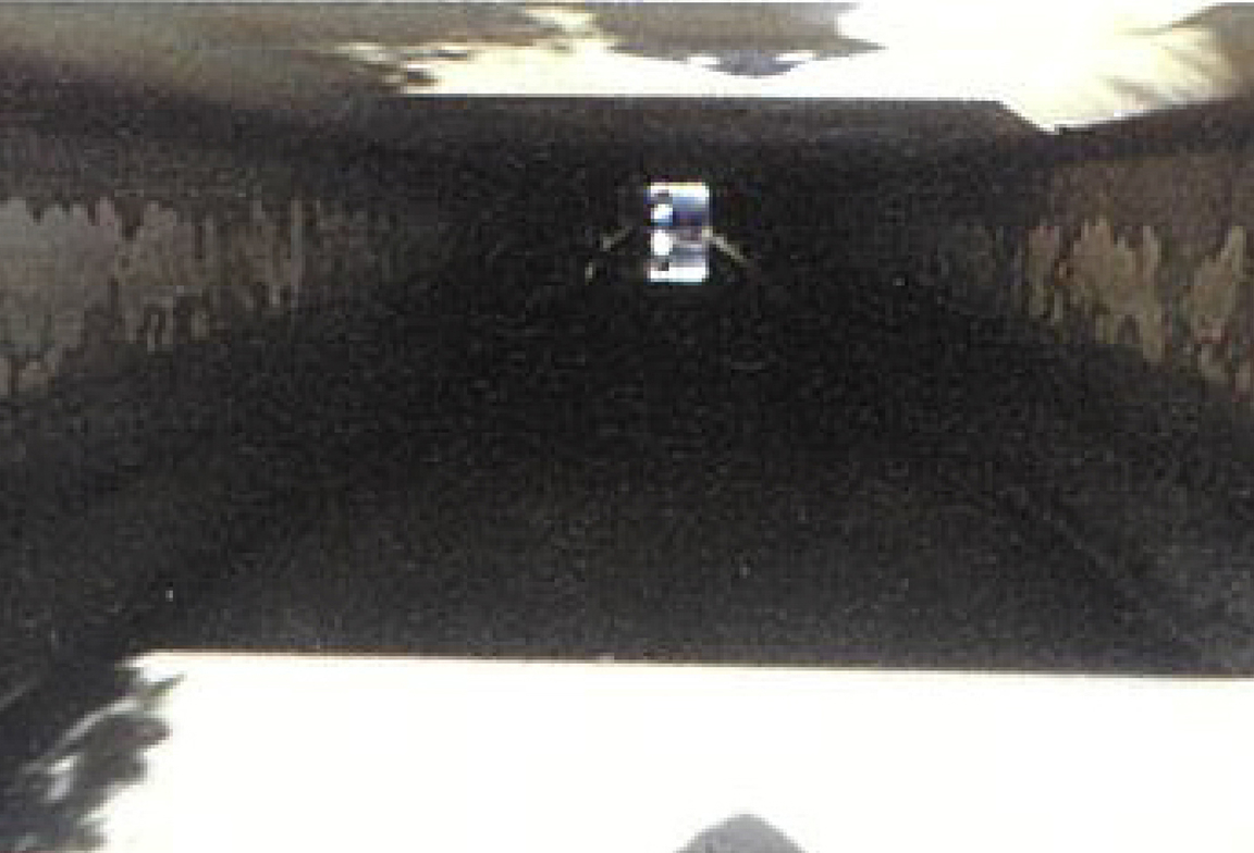 Slider Image Three